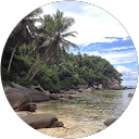 mistigri ninille profile picture