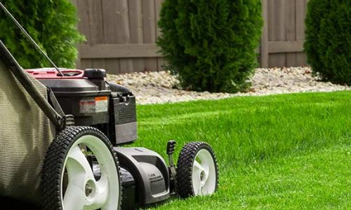 bo-jardin-accueil-entretien